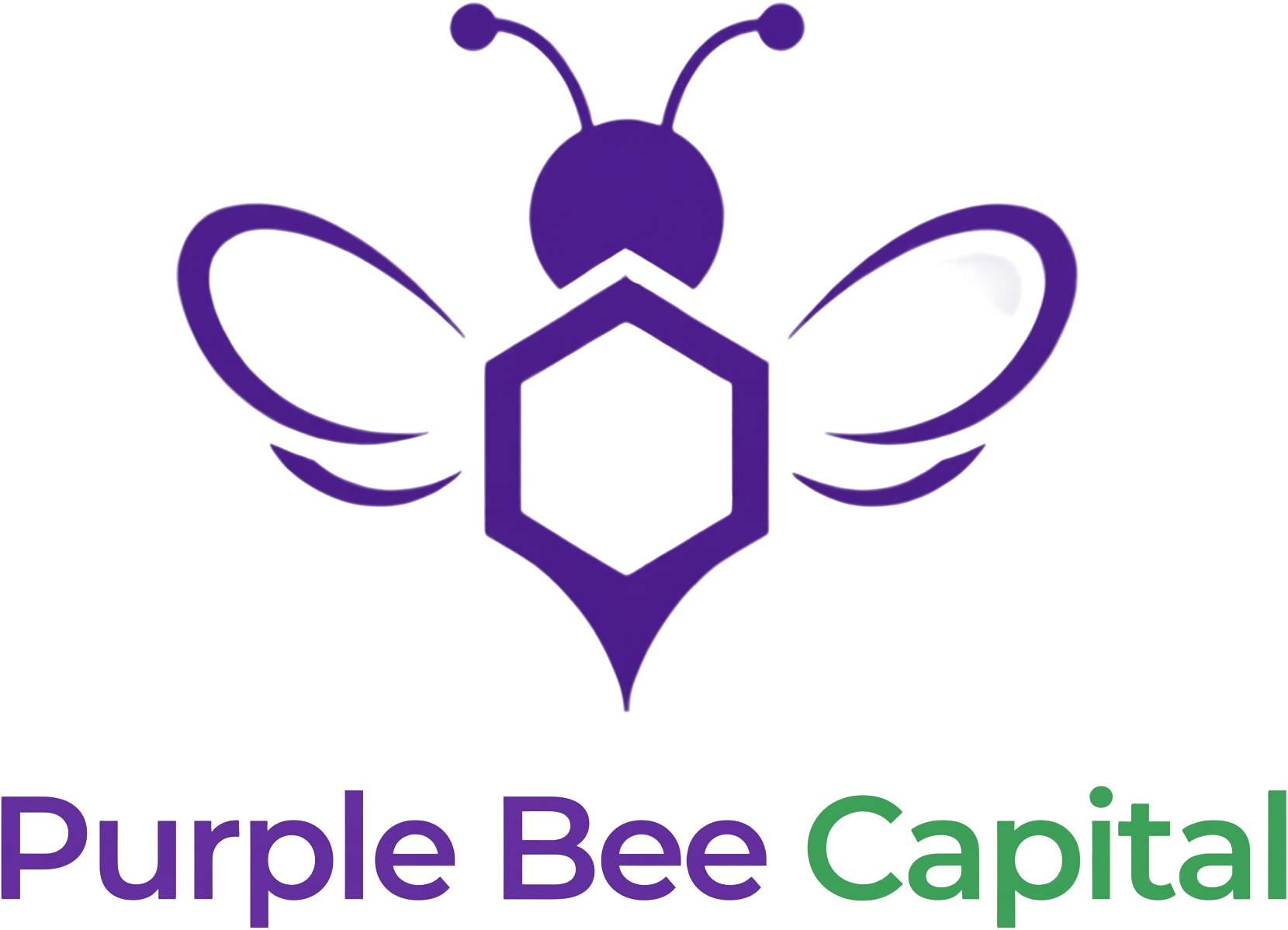 Purple Bee Capital